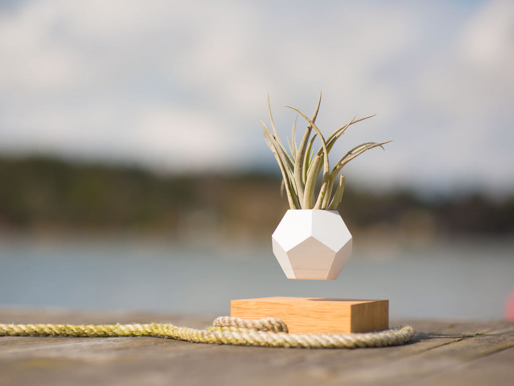 Lyfe Flyte ライフ フライト 浮遊するプランター ホバーリングオブジェ