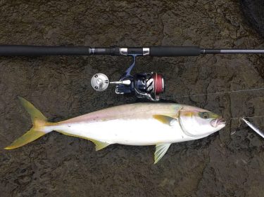 レビュー】ヤマガブランクス ブルースナイパー97MMHのインプレ！│yuublog