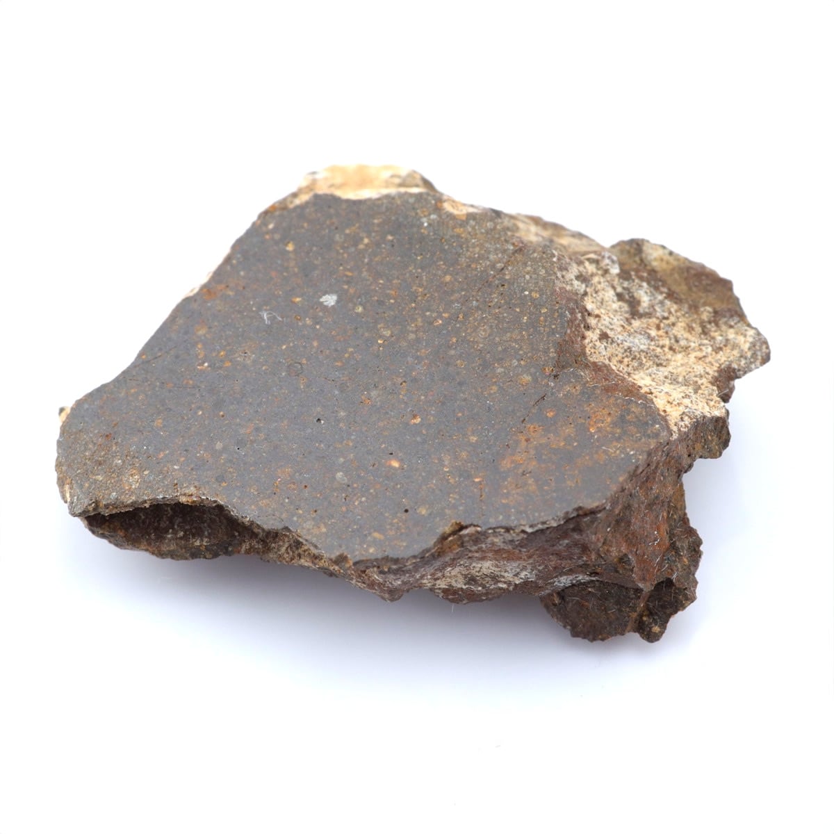 隕石のレア度：希少 | 隕石販売.jp