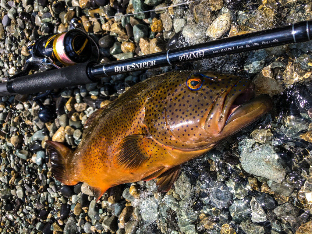 人気のショアキャスティングゲームに！】ヤマガブランクスの名竿「BLUE