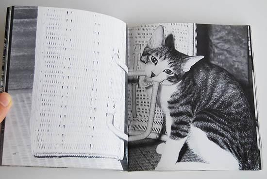 サスケ！！いとしき猫よ 深瀬昌久 写真集 Sasuke, Itoshiki Neko yo