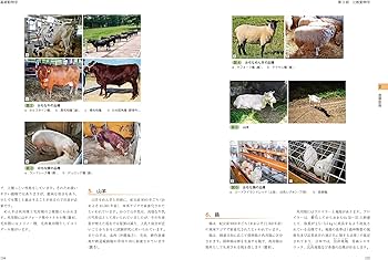 愛玩動物看護師の教科書 第2巻 | 緑書房編集部 |本 | 通販 | Amazon
