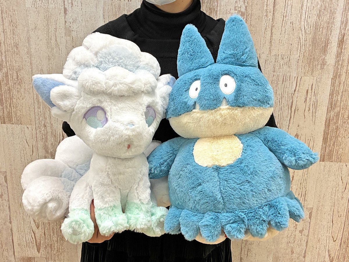 2026年1月17日(土)、#ポケモンセンター に｢ふわふわ抱きぬいぐるみ